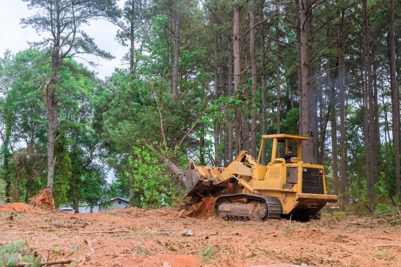Site Clearing Service in Atlanta, GA